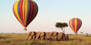 Hot Air Balloon Safari Over the Masai Mara: What to Expect