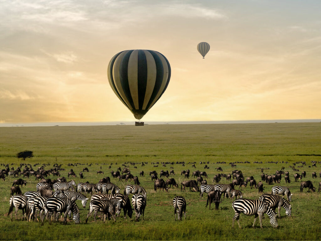 Hot Air Balloon Safari Over the Masai Mara: What to Expect